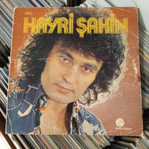 Hayri Şahin - Hayri Şahin