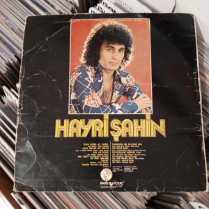 Hayri Şahin - Hayri Şahin