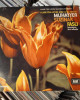 Fevzi Atlıoğlu - Muhayyer Suzinak Faslı Fevzi Atlıoğlu - Muhayyer Suzinak Faslı